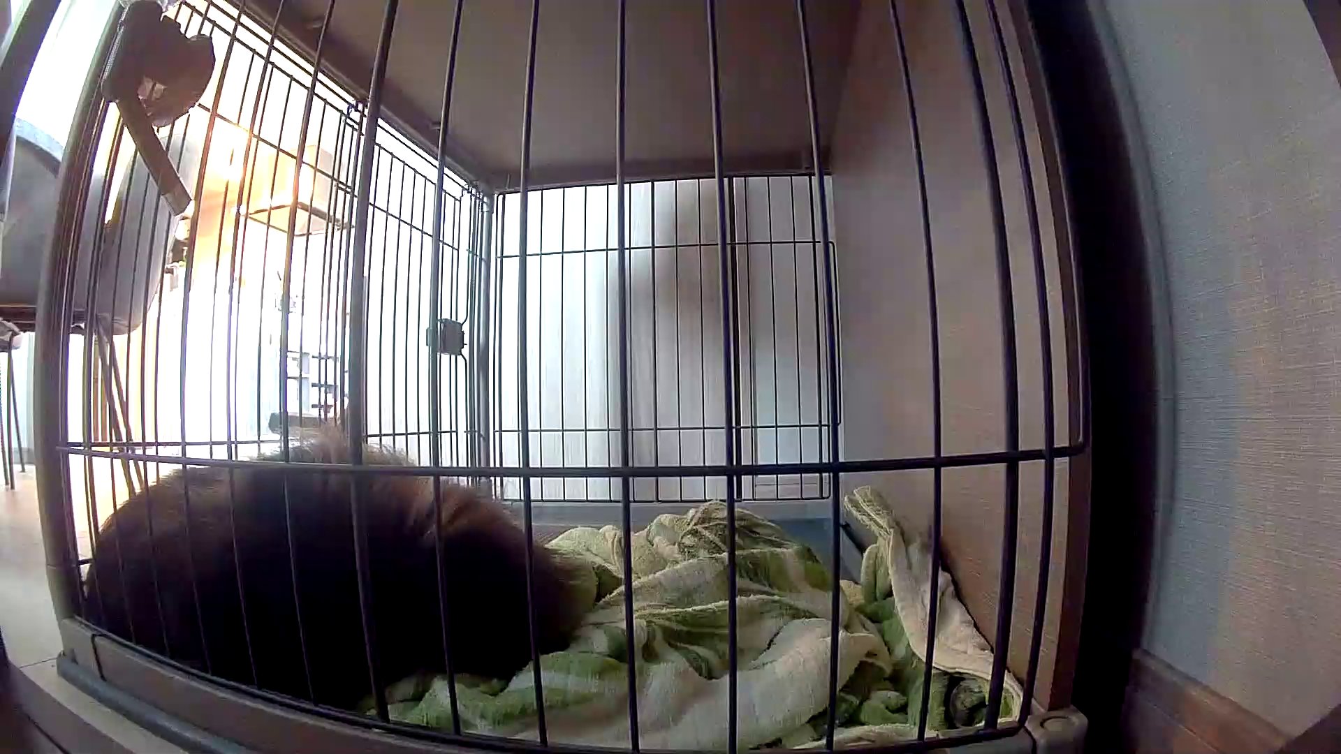 16時のスナップショット